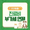 맘스동물의료센터 이미지