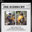 떠내려 갔던 고마곰,공주시민 곁으로 돌아와 이미지