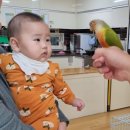 아띠랑유치원 | 0세1세2세 / 탕정어린이집 연화마을 어린이집 천안아산역바울어린이집