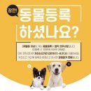 마석동물병원 네이버블로그