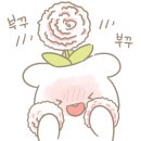 크런치데이 이미지