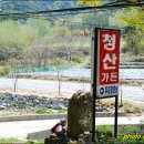 청산오리 이미지