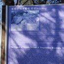 봉래산체육공원 이미지