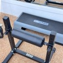 보스턴짐 | 평택 헬스장 보스턴짐 다이어트 추천 PT 후기