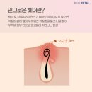 일루아헤어 - 당진시 | 일루아헤어