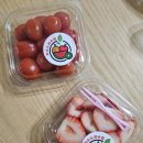 리수스과수원 이미지