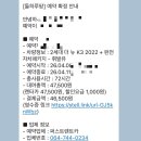 퍼스트렌트카 | 제주 렌트카 돌하루팡 퍼스트렌트카 완전자차 내돈내산 후기 제주 가성비렌트 추천
