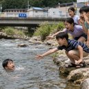 신포교 - 춘천시 | 신포교