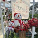 창뜰농장 이미지