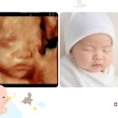 베네피아 평촌점 이미지