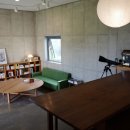 양양 스테이나무 이미지