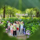 지니어스숲어린이집 이미지