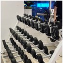 위너스타짐 이미지