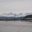 연어의고향 이미지