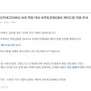 보드랍개 이미지