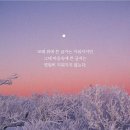 샤인에스테틱 - 금정구 | 샤인에스테틱