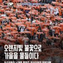 진도국밥 | 10.29-11.4 요약 zip