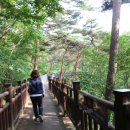 은정상회 이미지