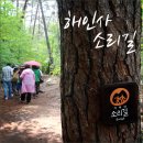 황강은빛백사장길 이미지