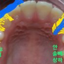 용인성모의원 이미지