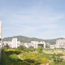 성남제1공단 근린공원 | 성남 가볼만한곳 꽃놀이 하기 좋은 &#39;성남제1공단근린공원&#39;