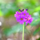 수석행정사사무소 이미지