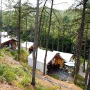 블랙트리 하우스 이미지