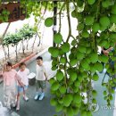 중흥2동 행정복지센터 앞 이미지