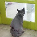 송정동물메디컬센터 이미지