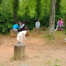 사랑나무유치원 이미지