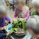 팽성북로 이미지