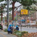 송죽초교 이미지