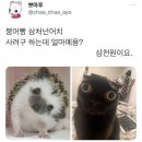 국제 밧데리 | 경희대 수원 국제캠 노인스포츠지도사 특별전형 연수 1,2일차 후기