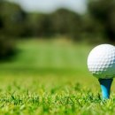 톰스 스크린 골프연습장 이미지