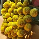 동창농장 이미지