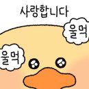 망고쿠로 이미지