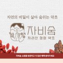 숨브랜딩 이미지