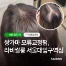 마비 | 라비살롱 서울대입구역점 시그니처 밀도보완 링거펌 모류교정 가르마비침 개선 후기