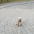 두부앤콩물