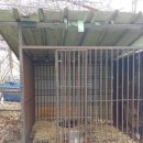 용종농장 이미지