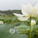 궁현2리 이미지