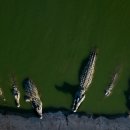 서안농장 이미지