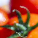 다조은한의원 이미지