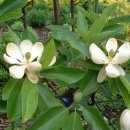 (주)문글로우 이미지