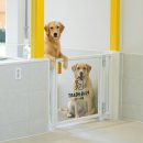 플러스하트 이미지