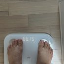 11650-3-66-10 | 마운자로 다이어트 6개월의 기록 66kg에서 56kg까지, 부작용과 솔직한 후기