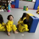 용호도장 이미지