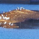 회동주차장 이미지