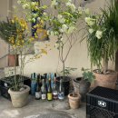 전포셀프주유소 이미지