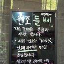 돌삐자연산회집